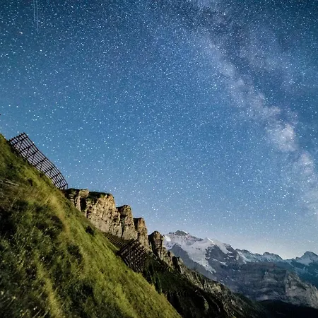 O 68 Haus Bel Air Apartman *