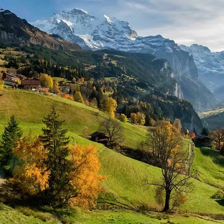 O 68 Haus Bel Air Apartman *