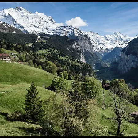 O 68 Haus Bel Air Appartamento *