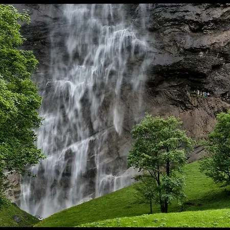 Appartamento O 68 Haus Bel Air Wengen